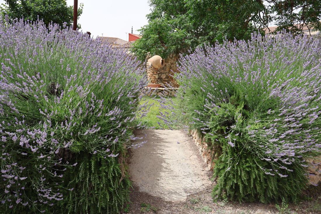 Jardín de la casa rural el jardín
