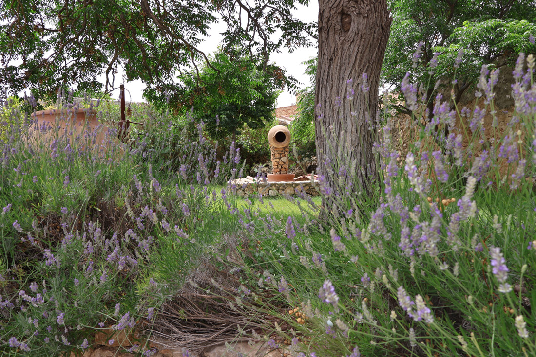 El jardín – Espliego jardín espliego